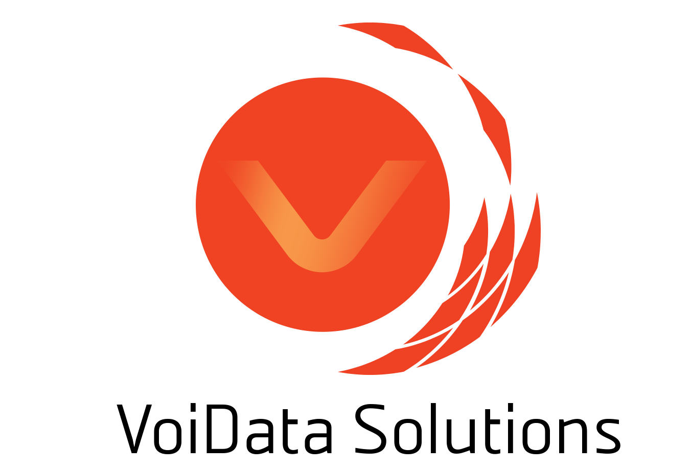 Voidata Solutions
